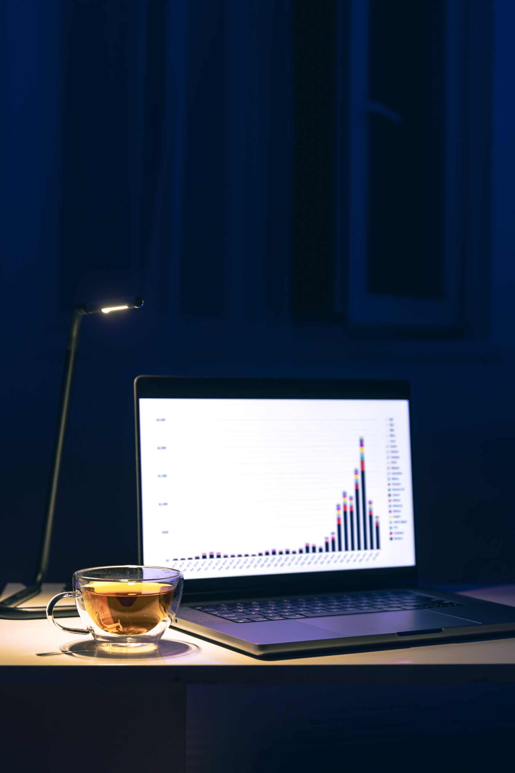 Digital Marketing Strategist in Kannur