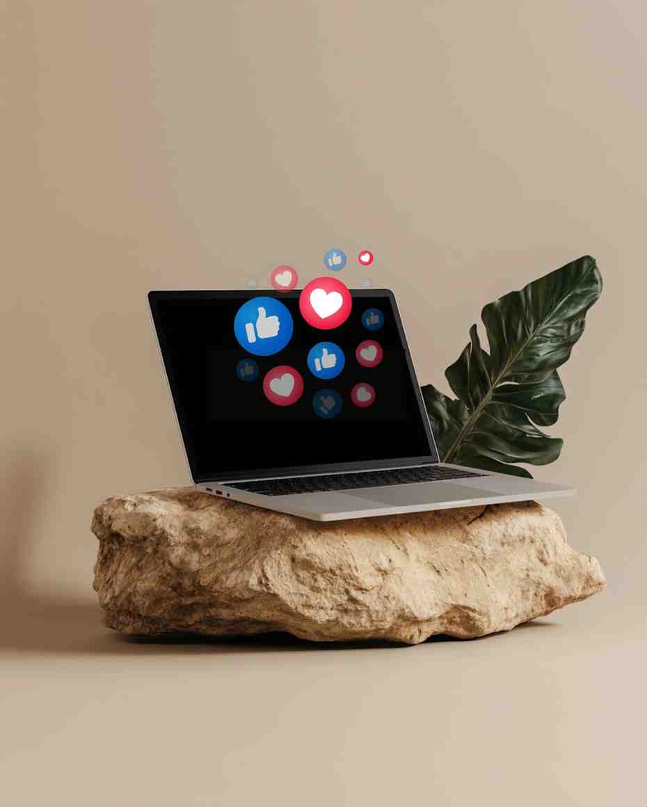 smm img